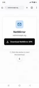 Download NetMirror