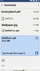 File Manager